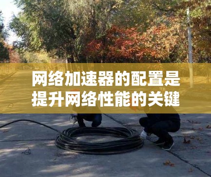 网络加速器的配置是提升网络性能的关键步骤，以下是详细的配置指南