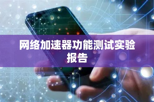 网络加速器功能测试实验报告 网络加速器功能测试实验报告