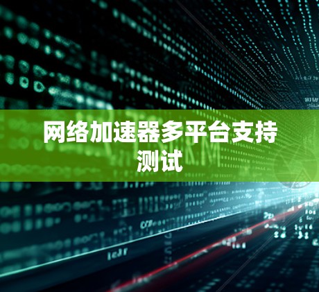网络加速器多平台支持测试