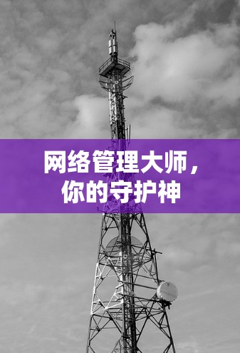 网络管理大师,你的守护神 网络管理大师,你的守护神