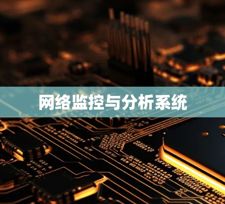 网络监控与分析系统