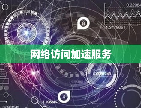 网络访问加速服务