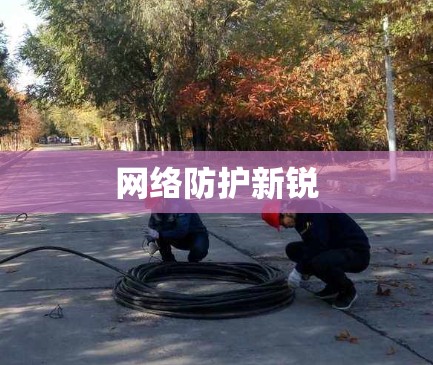 网络防护新锐 网络防护新锐