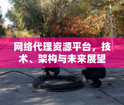 网络代理资源平台,技术、架构与未来展望 网络代理资源平台,技术、架构与未来展望
