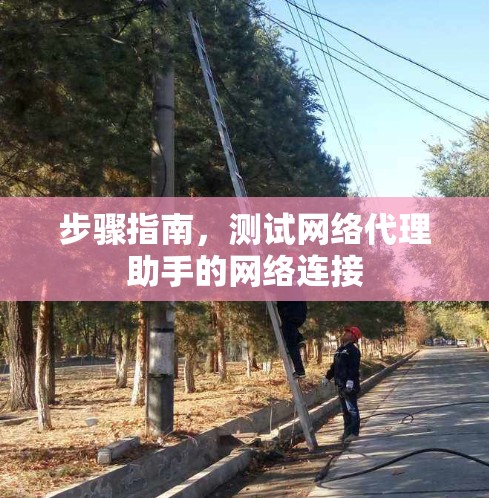 步骤指南，测试网络代理助手的网络连接