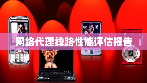 网络代理线路性能评估报告