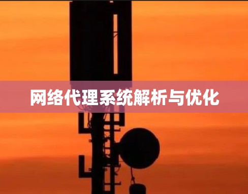 网络代理系统解析与优化
