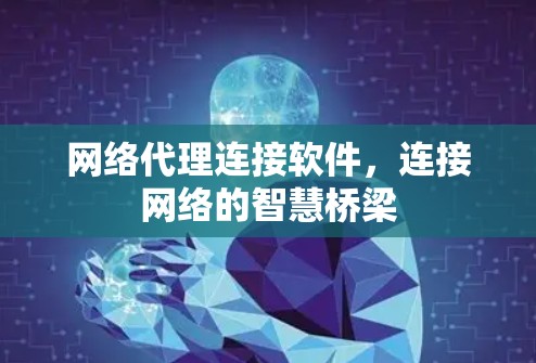 网络代理连接软件,连接网络的智慧桥梁 网络代理连接软件,连接网络的智慧桥梁