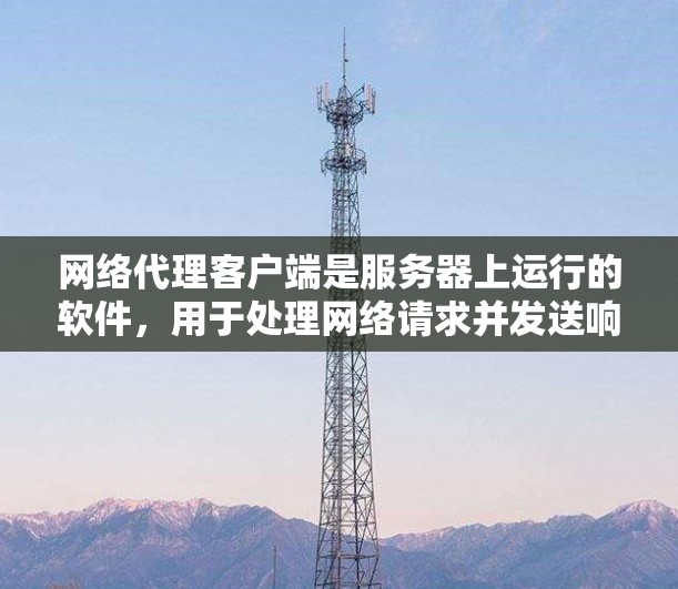网络代理客户端是服务器上运行的软件，用于处理网络请求并发送响应到客户端服务器。以下是详细的步骤和注意事项，帮助你设置网络代理客户端