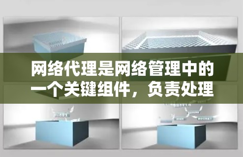 网络代理是网络管理中的一个关键组件，负责处理网络设备之间的数据传输和处理请求。以下是对网络代理的详细介绍