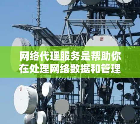 网络代理服务是帮助你在处理网络数据和管理用户时提供帮助的工具。以下是一些常见的网络代理服务及其特点，供你参考