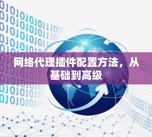 网络代理插件配置方法，从基础到高级