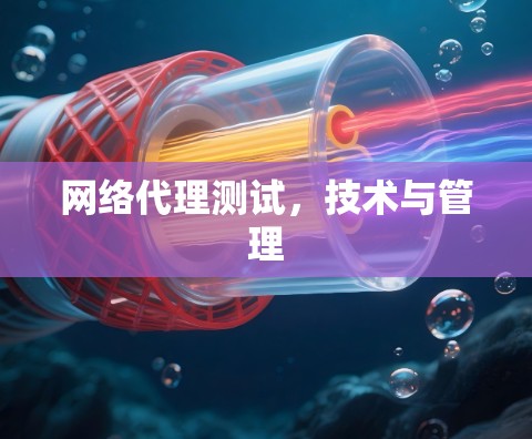 网络代理测试，技术与管理