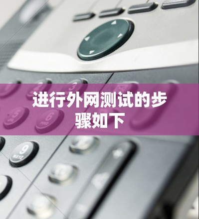 进行外网测试的步骤如下