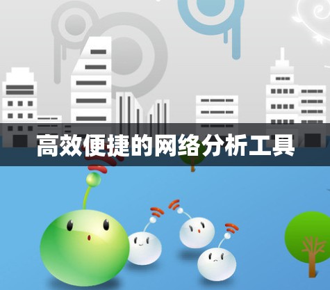 高效便捷的网络分析工具