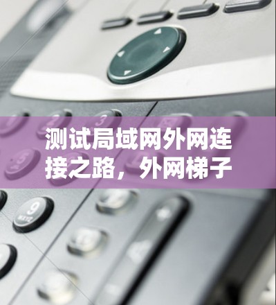 测试局域网外网连接之路，外网梯子的正确使用指南