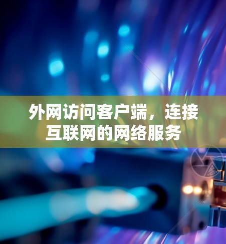 外网访问客户端，连接互联网的网络服务