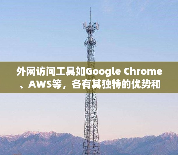 外网访问工具如Google Chrome、AWS等，各有其独特的优势和适用场景。选择合适的工具应基于具体需求、技术能力以及维护成本等因素。以下是详细的步骤指南，帮助您更好地应用这些工具