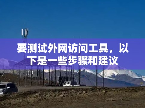 要测试外网访问工具，以下是一些步骤和建议