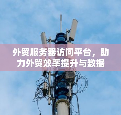 外贸服务器访问平台，助力外贸效率提升与数据驱动决策