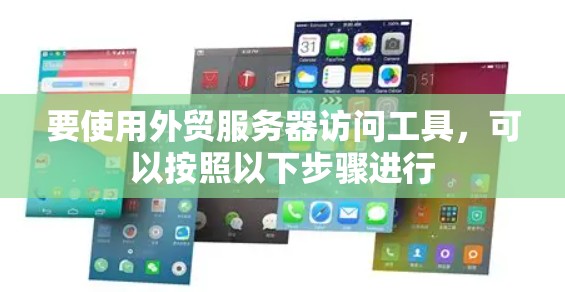 要使用外贸服务器访问工具，可以按照以下步骤进行