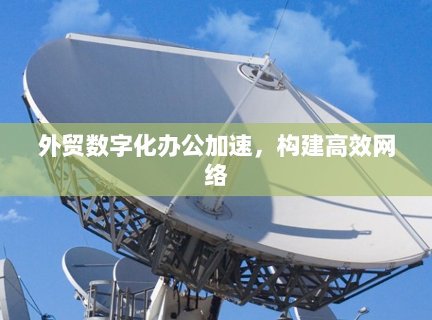 外贸数字化办公加速，构建高效网络