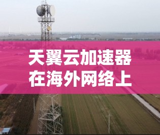 天翼云加速器在海外网络上的应用情况可以从以下几个方面进行总结