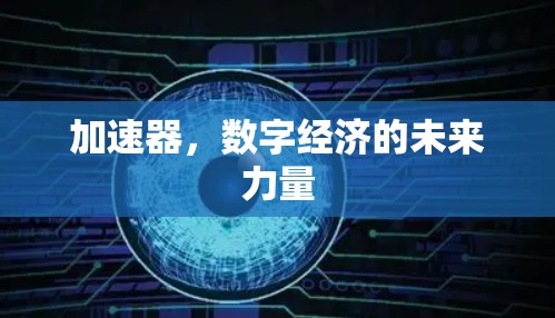 加速器，数字经济的未来力量