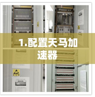 1.配置天马加速器
