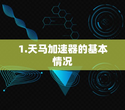 1.天马加速器的基本情况