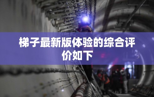 梯子最新版体验的综合评价如下