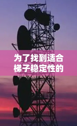 为了找到适合梯子稳定性的软件下载，您可以按照以下步骤进行