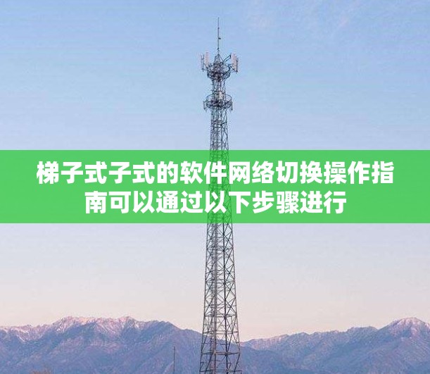 梯子式子式的软件网络切换操作指南可以通过以下步骤进行