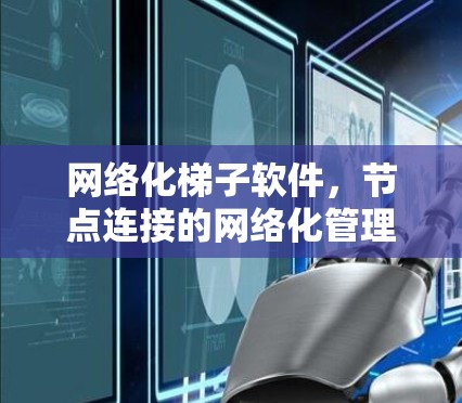 网络化梯子软件，节点连接的网络化管理