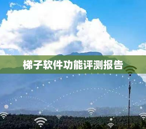 梯子软件功能评测报告
