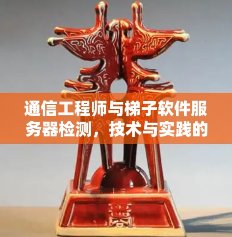 通信工程师与梯子软件服务器检测，技术与实践的结合