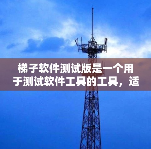 梯子软件测试版是一个用于测试软件工具的工具，适用于测试PCB连接器的项目。学习它的步骤如下