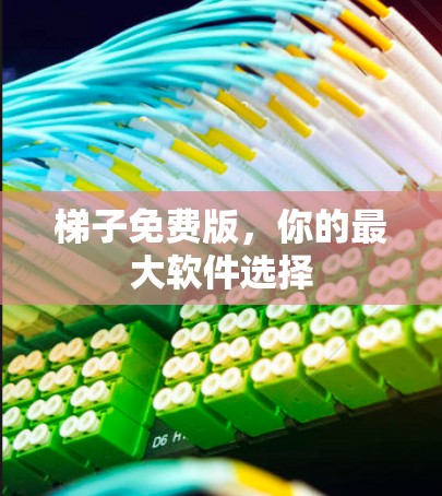 梯子免费版，你的最大软件选择