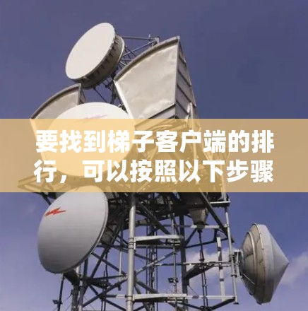 要找到梯子客户端的排行，可以按照以下步骤进行