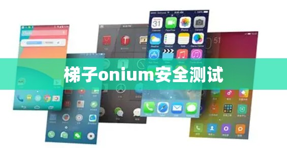 梯子onium安全测试