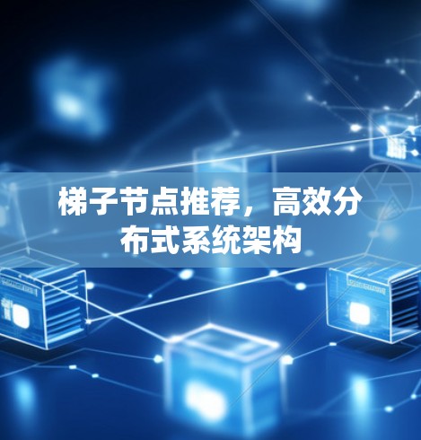 梯子节点推荐，高效分布式系统架构