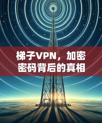 梯子VPN，加密密码背后的真相，背后的技巧，背后的陷阱—全面解析梯子VPN的技术与安全问题