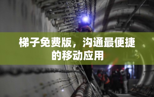 梯子免费版，沟通最便捷的移动应用