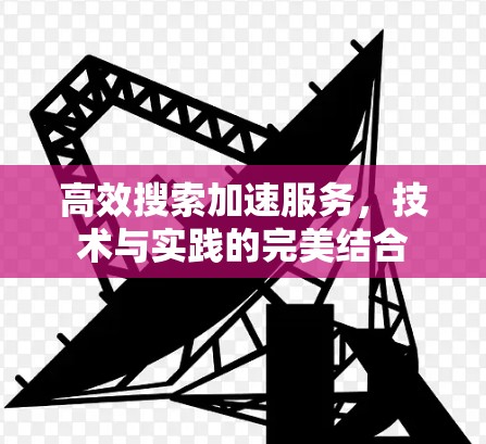 高效搜索加速服务,技术与实践的完美结合 高效搜索加速服务,技术与实践的完美结合