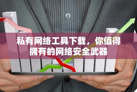 私有网络工具下载，你值得拥有的网络安全武器