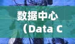 数据中心(Data Center)是处理大规模数据、存储和计算的设施,通常位于城市或国家的特定区域。数据中心网络是指数据中心内部数据传输和存储的网络系统,其目的是确保数据的可靠传输、访问和存储 数据中心(Data Center)是处理大规模数据、存储和计算的设施,通常位于城市或国家的特定区域。数据中心网络是指数据中心内部数据传输和存储的网络系统,其目的是确保数据的可靠传输、访问和存储