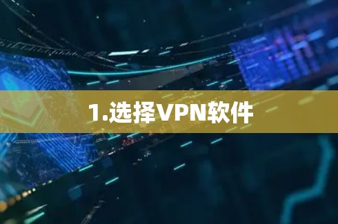 1.选择VPN软件