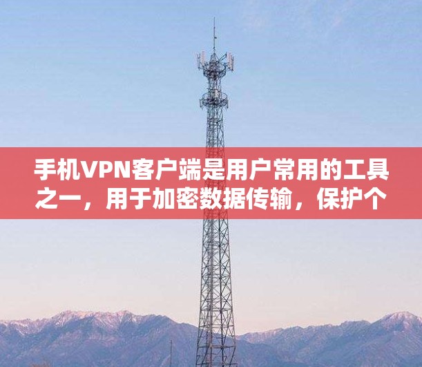 手机VPN客户端是用户常用的工具之一，用于加密数据传输，保护个人隐私。以下是详细介绍