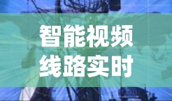 智能视频线路实时监控与故障检测系统