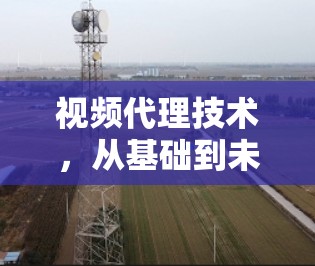 视频代理技术，从基础到未来